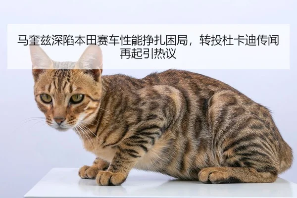 ma-kui-zi-shen-xian-ben-tian-sai-che-xing-neng-zheng-zha-kun-ju-zhuan-tou-du-ka-di-chuan-wen-zai-qi-yin-re-yi-2-863.jpg