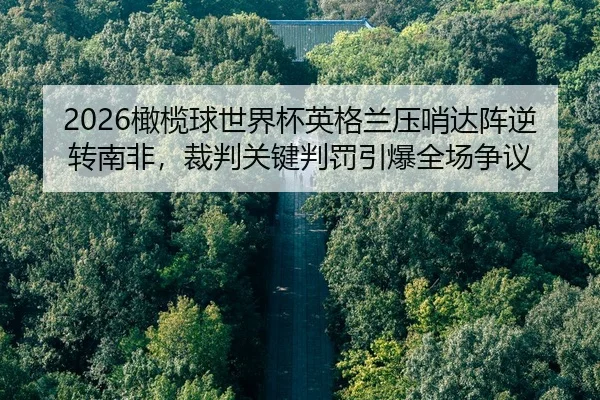 gan-lan-qiu-shi-jie-bei-ying-ge-lan-ya-shao-da-zhen-ni-zhuan-nan-fei-cai-pan-guan-jian-pan-fa-yin-bao-quan-chang-zheng-2-775.jpg